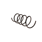 2007 Mercedes Benz C280 Coil Spring 2
