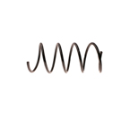 2007 Mercedes Benz C280 Coil Spring 1