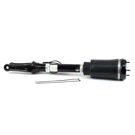 Arnott Industries Mercedes Benz Strut AS-3088