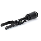 Arnott Industries AS-3088 Strut 2