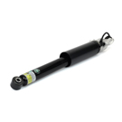 Arnott Industries SK-3357 Shock Absorber 2