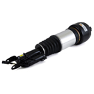 Arnott Industries AS-2246 Strut 1