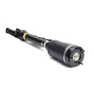 Arnott Industries AS-2450 Strut 1