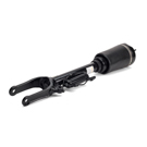 Arnott Industries AS-2450 Strut 2
