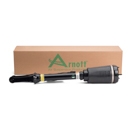 Arnott Industries AS-2450 Strut 3