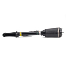 Arnott Industries AS-2450 Strut 4