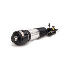 Arnott Industries AS-2786 Strut 1