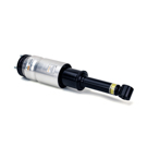 Arnott Industries Land Rover Strut AS-2809