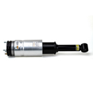 Arnott Industries AS-2809 Strut 2
