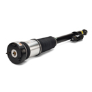 Arnott Industries  Mercedes Benz S600 Strut AS-2821