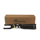 2007 Mercedes Benz R500 Strut 1