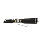 2007 Mercedes Benz R500 Strut 3