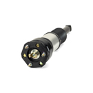 Arnott Industries AS-2856 Strut 1