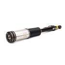 Arnott Industries AS-2884 Strut 1