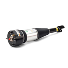 Arnott Industries AS-2888 Shock Absorber 1