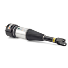 2006 Jaguar Super V8 Shock Absorber 2