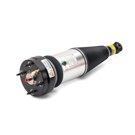 Arnott Industries AS-2889 Shock Absorber 1