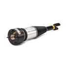 Arnott Industries AS-2890 Shock Absorber 1