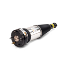 Arnott Industries AS-2891 Shock Absorber 1