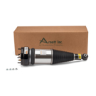 Arnott Industries AS-2891 Shock Absorber 3