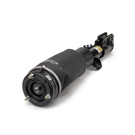 Arnott Industries Land Rover Strut AS-2962
