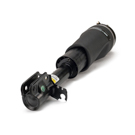 Arnott Industries AS-2962 Strut 2