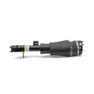 Arnott Industries AS-2962 Strut 4