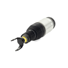 Arnott Industries AS-3017 Strut 2