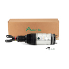 Arnott Industries AS-3017 Strut 3