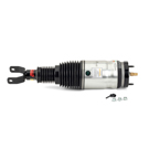 Arnott Industries AS-3017 Strut 4