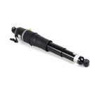 Arnott Industries AS-3066 Shock Absorber 2
