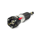 Arnott Industries AS-3074 Strut 1