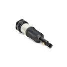 2002 Lexus LS430 Strut 2
