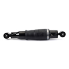 Arnott Industries AS-3284 Strut 4