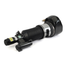 Arnott Industries AS-3373 Strut 2