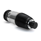 2021 Tesla S Strut 2