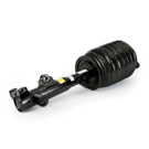 Arnott Industries AS-3897 Strut 2