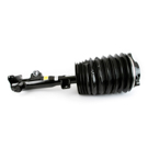 Arnott Industries AS-3897 Strut 4