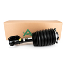 2012 Mercedes Benz E300 Strut 3