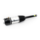 2012 Tesla S Strut 1