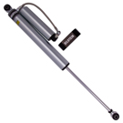 2017 Ford F Series Trucks Shock Absorber 1