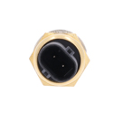 2022 Bmw X4 Engine Coolant Temperature Sensor 3