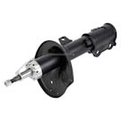 BuyAutoParts 75-20677AN Strut 1