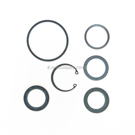 1976 Ford LTD Steering Gear Pitman Shaft Seal Kit 1