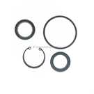 1982 Ford LTD Steering Gear Pitman Shaft Seal Kit 1