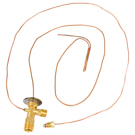 BuyAutoParts Chevrolet Parkwood A/C Expansion Device 60-40223
