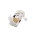 2003 Bmw M3 Fuel Pump Assembly 1