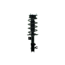 BuyAutoParts 75-27244CS Strut 1