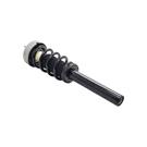 2017 Bmw X5 Strut 4