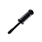 2012 Honda Crosstour Strut 3